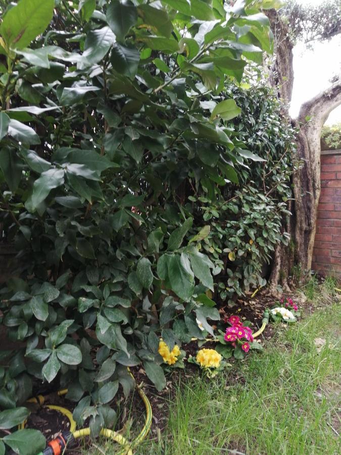 Casa Nonnanna - Nonnanna Home Viareggio Zewnętrze zdjęcie